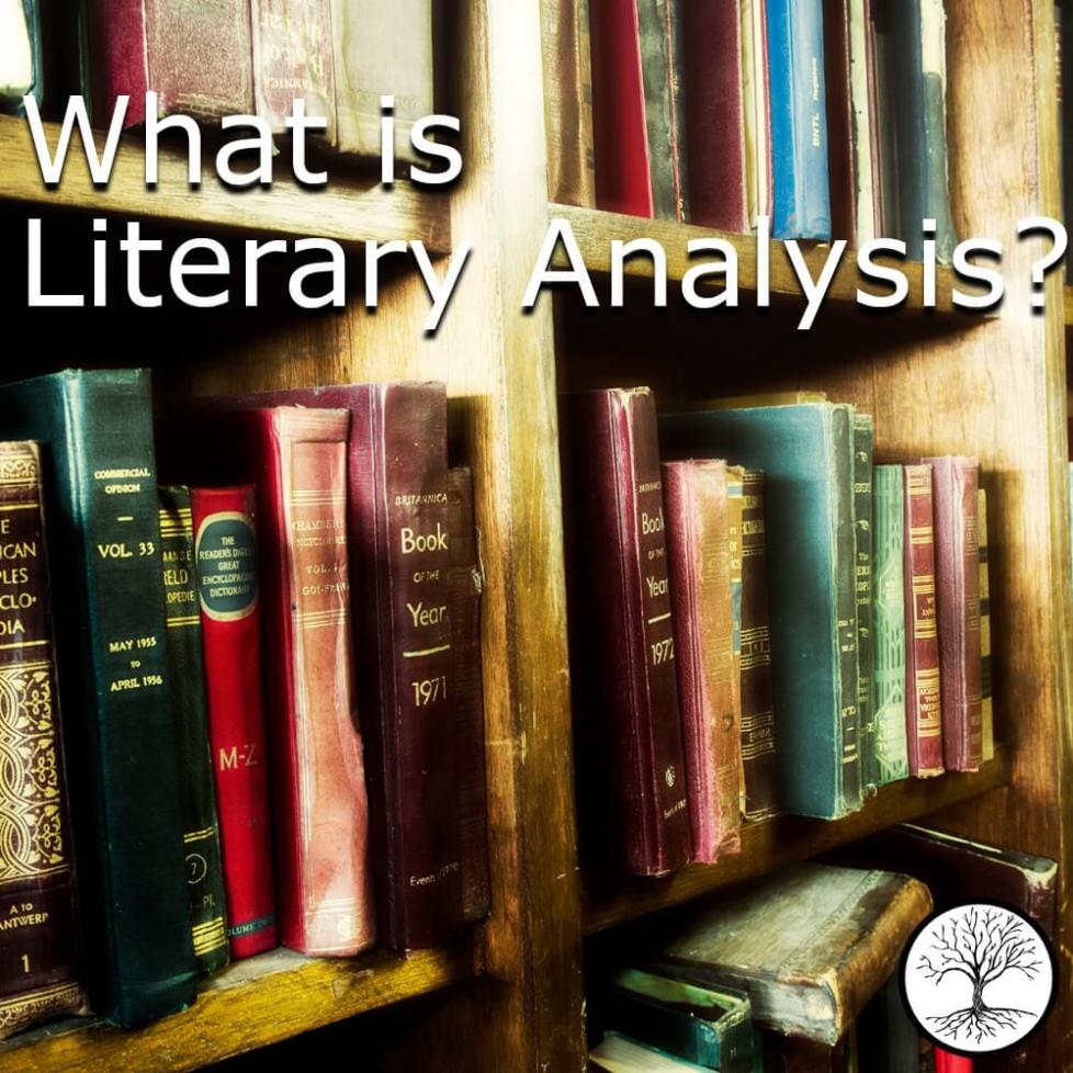 Quali sono i diversi tipi di analisi letteraria e come posso usarli per scrivere recensioni di libri migliori